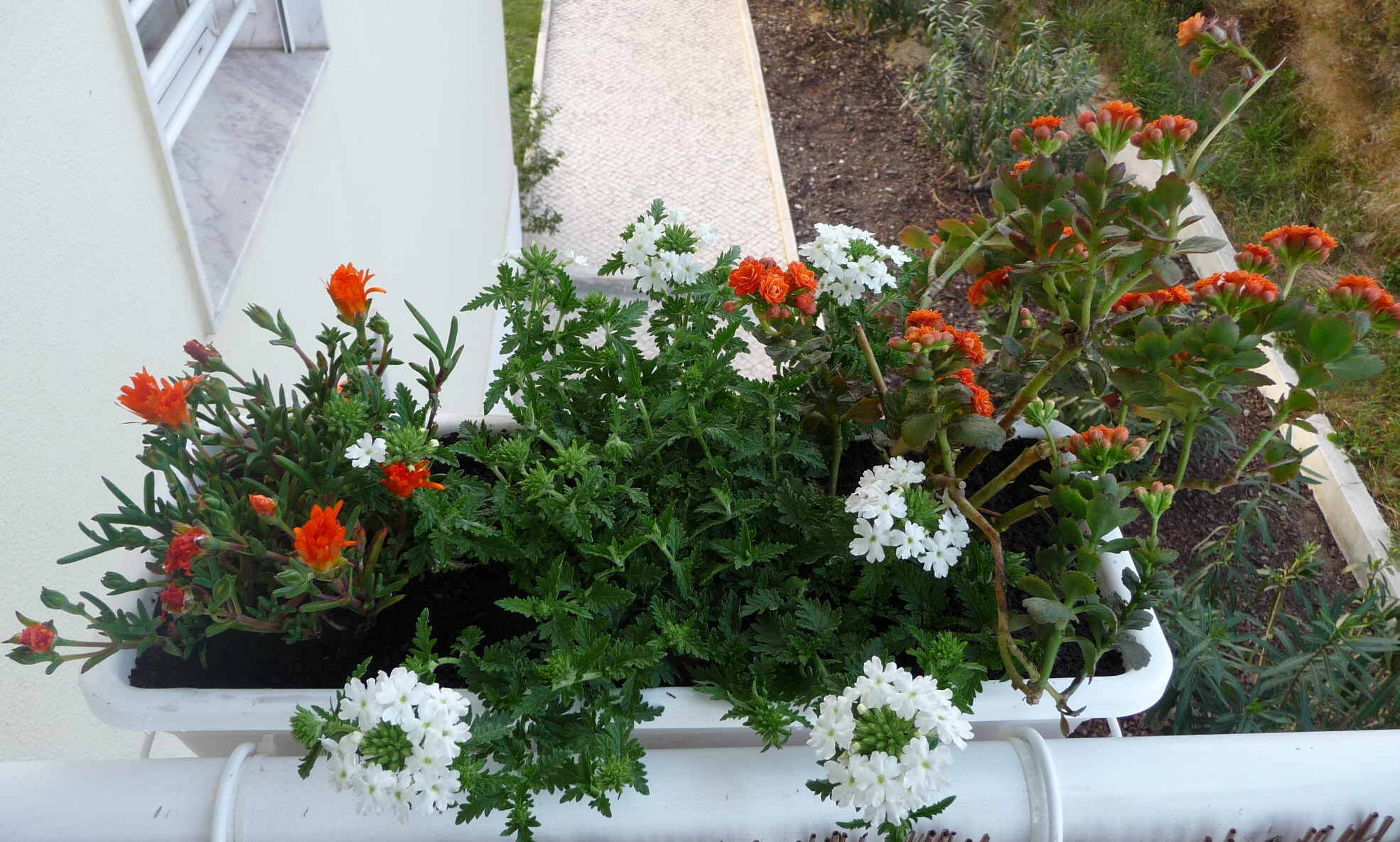 Floreiras na varanda | paisagismo exterior e interior